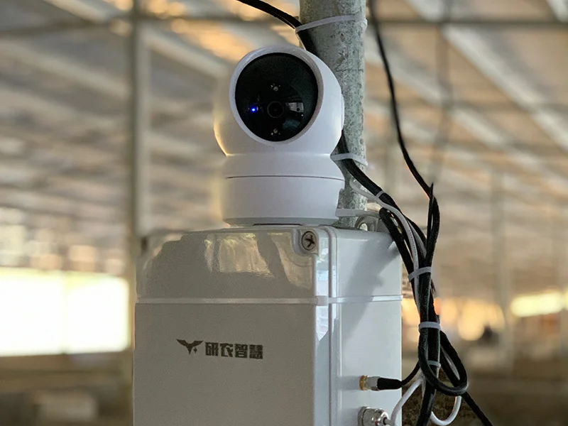 研几智能配电箱在智能养猪场产房场景中联动风机与保温灯，实现精准温湿度调控